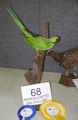 2009-parrochetto